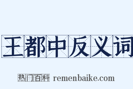 王都中反义词是什么意思的图片